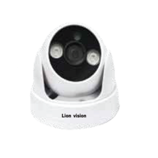 Picture of LionVision LV-102 Indoor Dome Camera